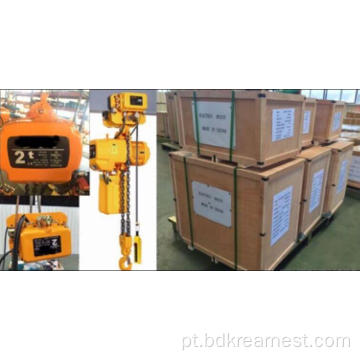 Hot Sale Quality Chain Electric Lefting Hist Crane